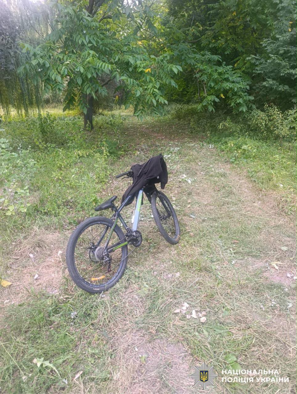 На фото велосипед, який зловмисник забрав у дітей.