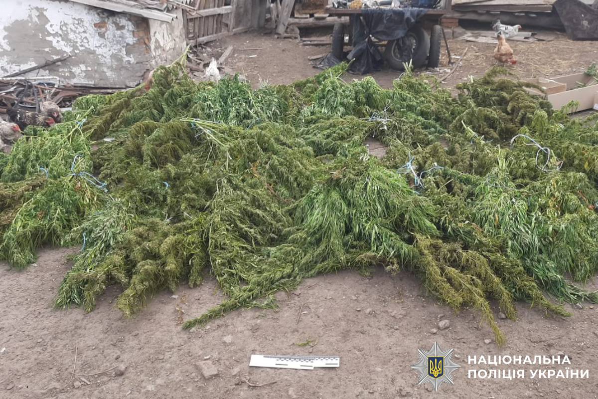 На Берестинщині поліцейські задокументували факт незаконного обігу наркотичних засобів