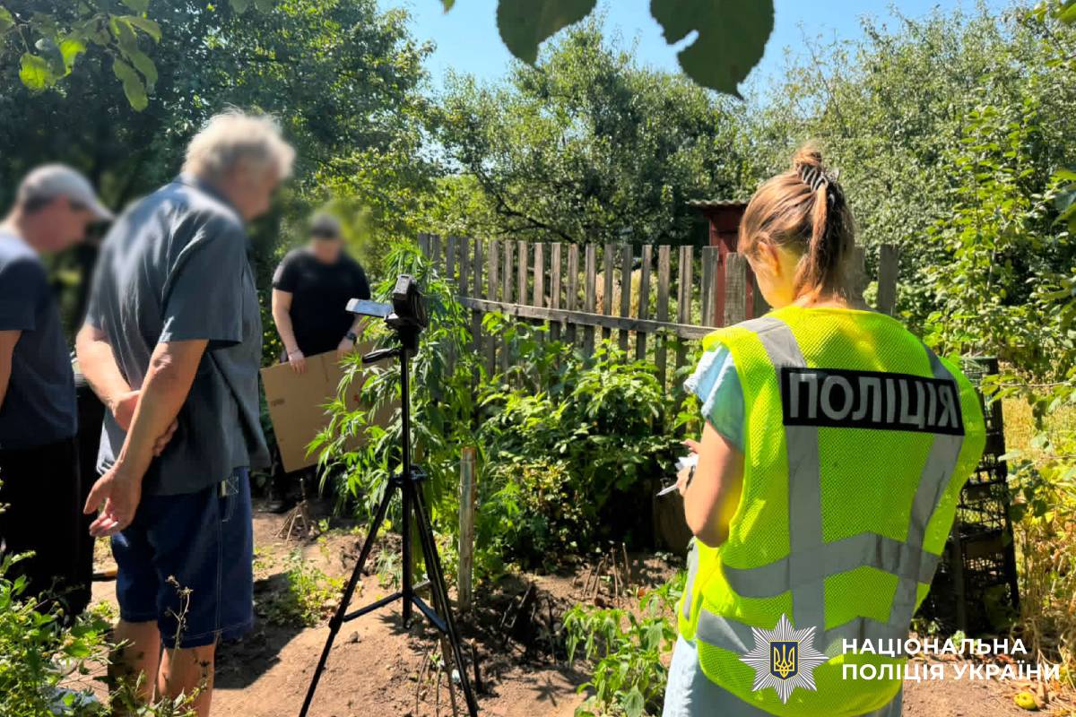 Поліцейські Харкова повідомили жінці про підозру у незаконному вирощуванні конопель та зберіганні канабісу
