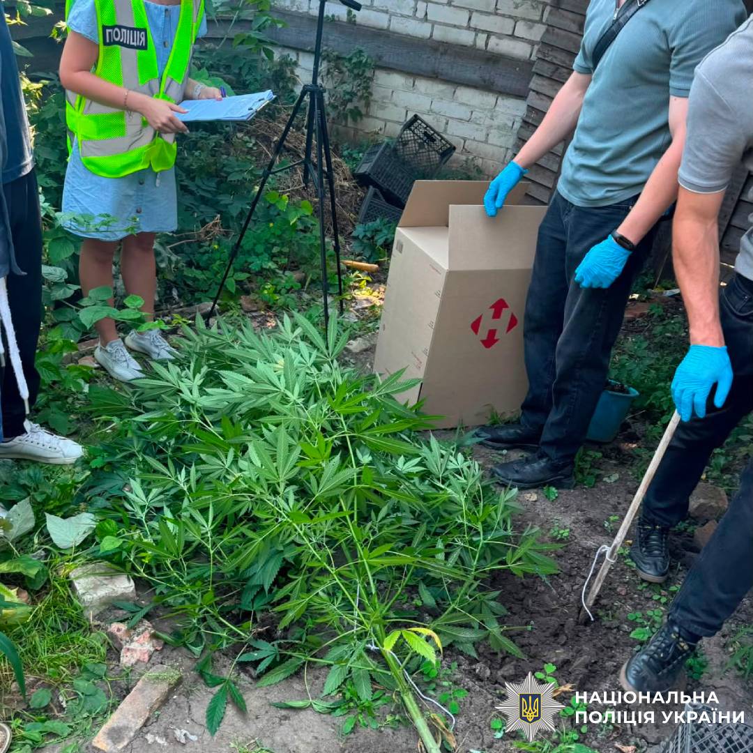 Поліцейські Харкова повідомили жінці про підозру у незаконному вирощуванні конопель та зберіганні канабісу
