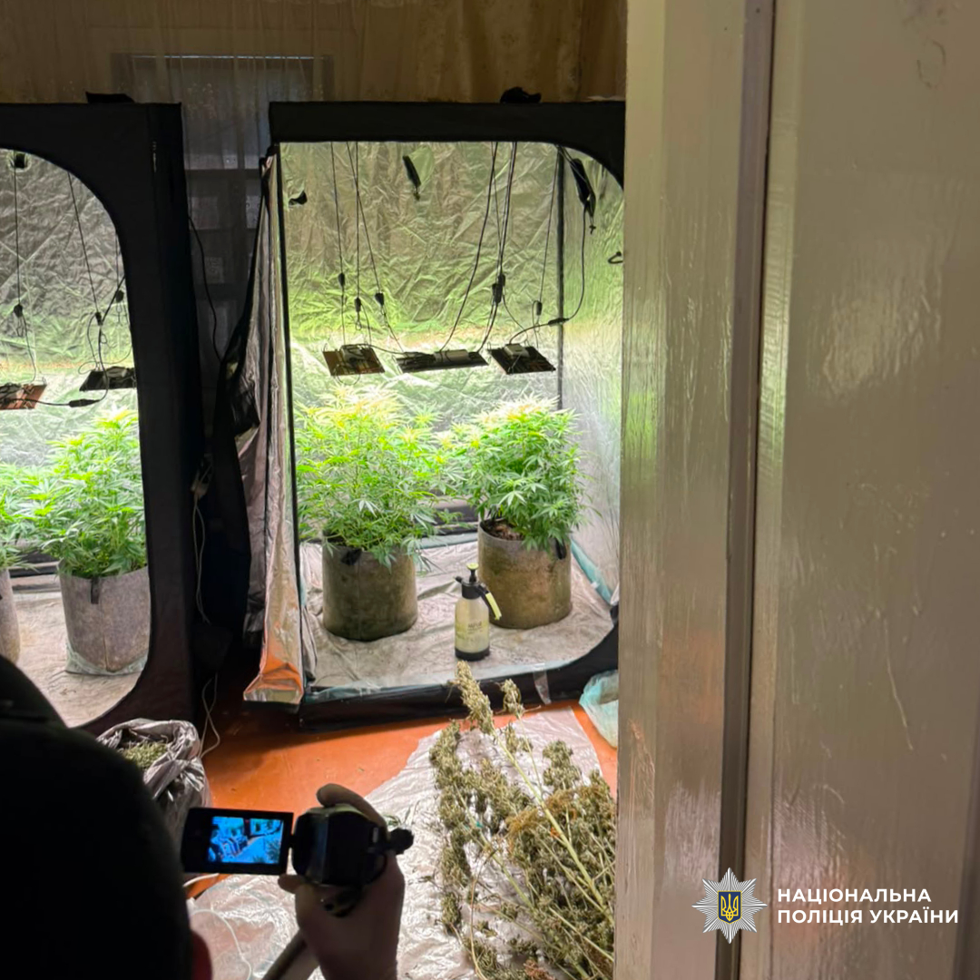 На Чугуївщині поліцейські припинили незаконну діяльність нарколабараторії та виявили плантацію конопель