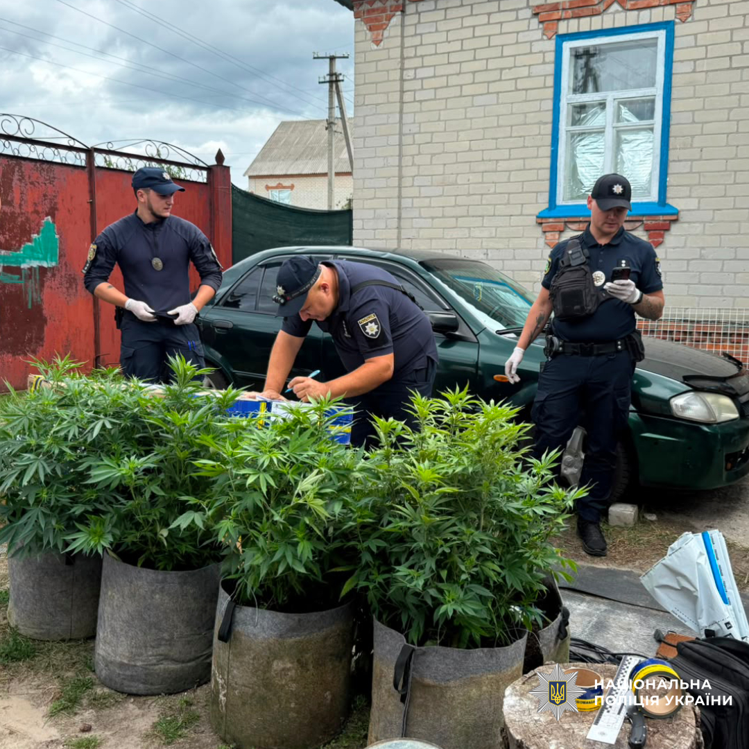 На Чугуївщині поліцейські припинили незаконну діяльність нарколабараторії та виявили плантацію конопель