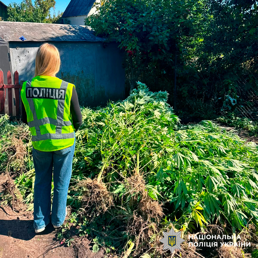 Поліцейські Харкова викрили чоловіка, який зберігав наркотики для подальшого збуту