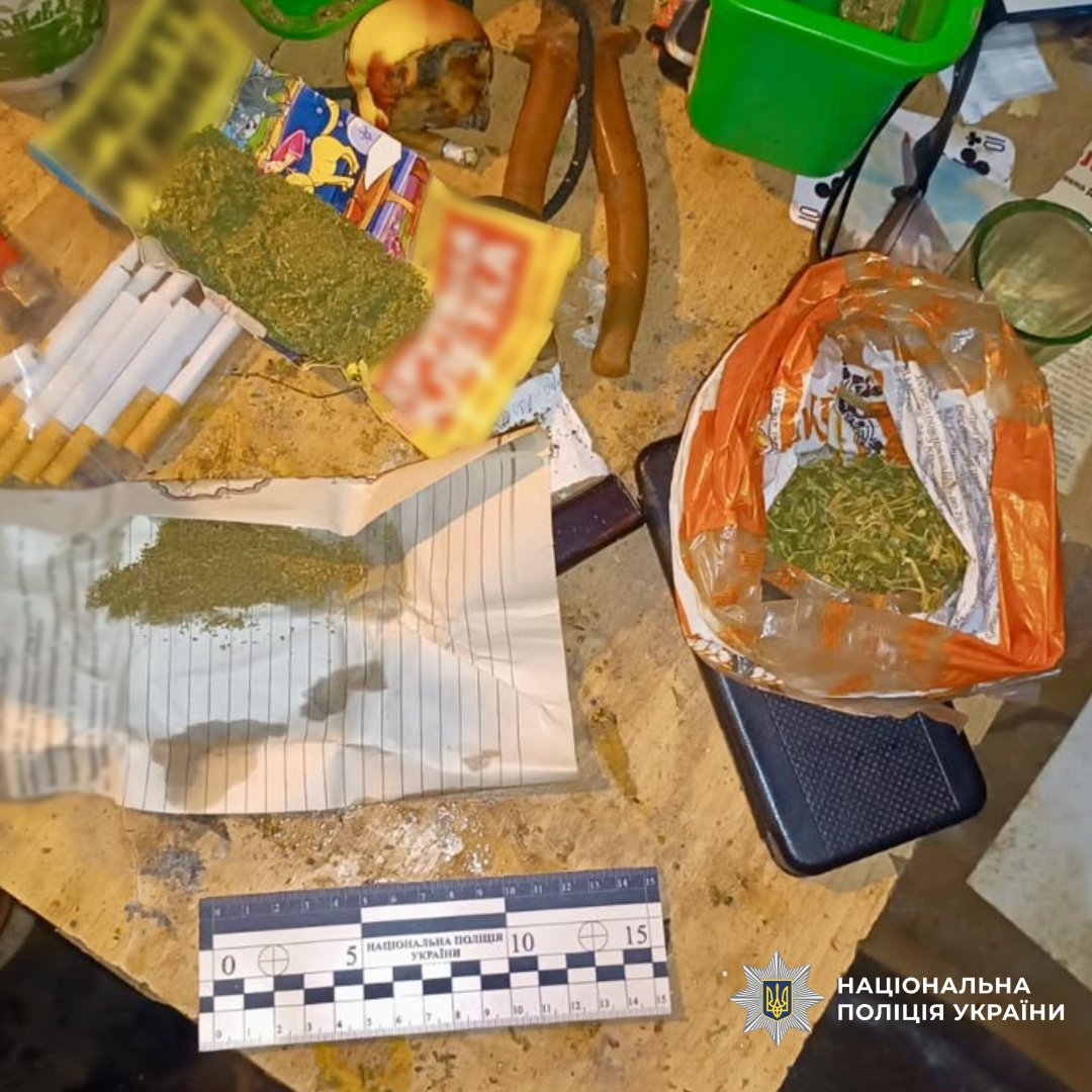 поліцейські Балаклійщини припинили незаконне вирощування та обіг наркотичних засобів