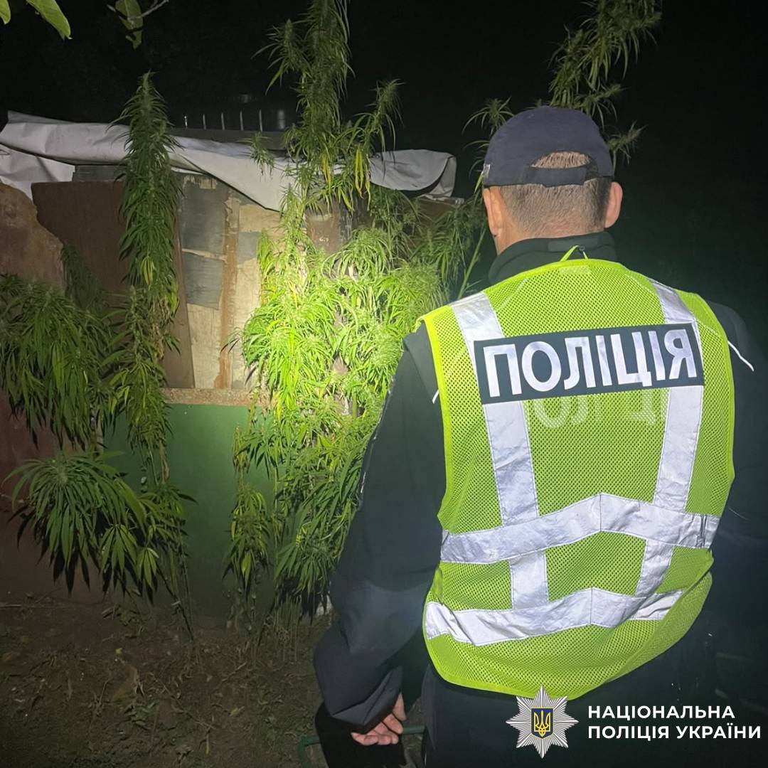 На Харківщині поліцейські викрили незаконне вирощування конопель