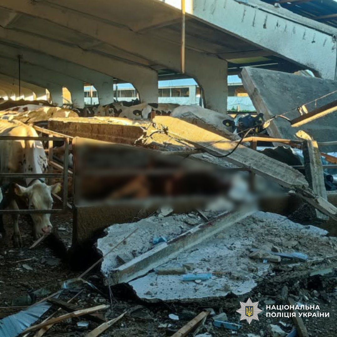 поліцейські задокументували наслідки воєнних злочинів військових рф на Харківщині
