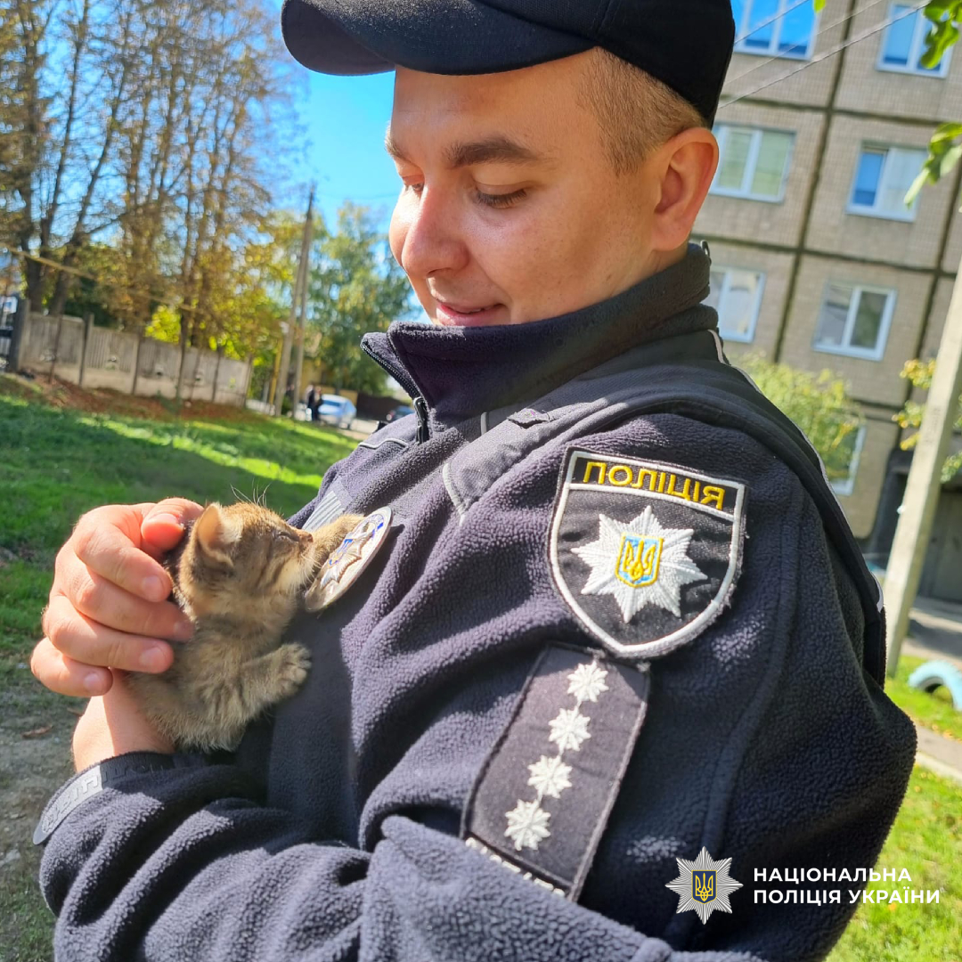 Візьми друга - врятуй життя: поліцейські Чугуївщини допомагають  кошенятам знайти дім