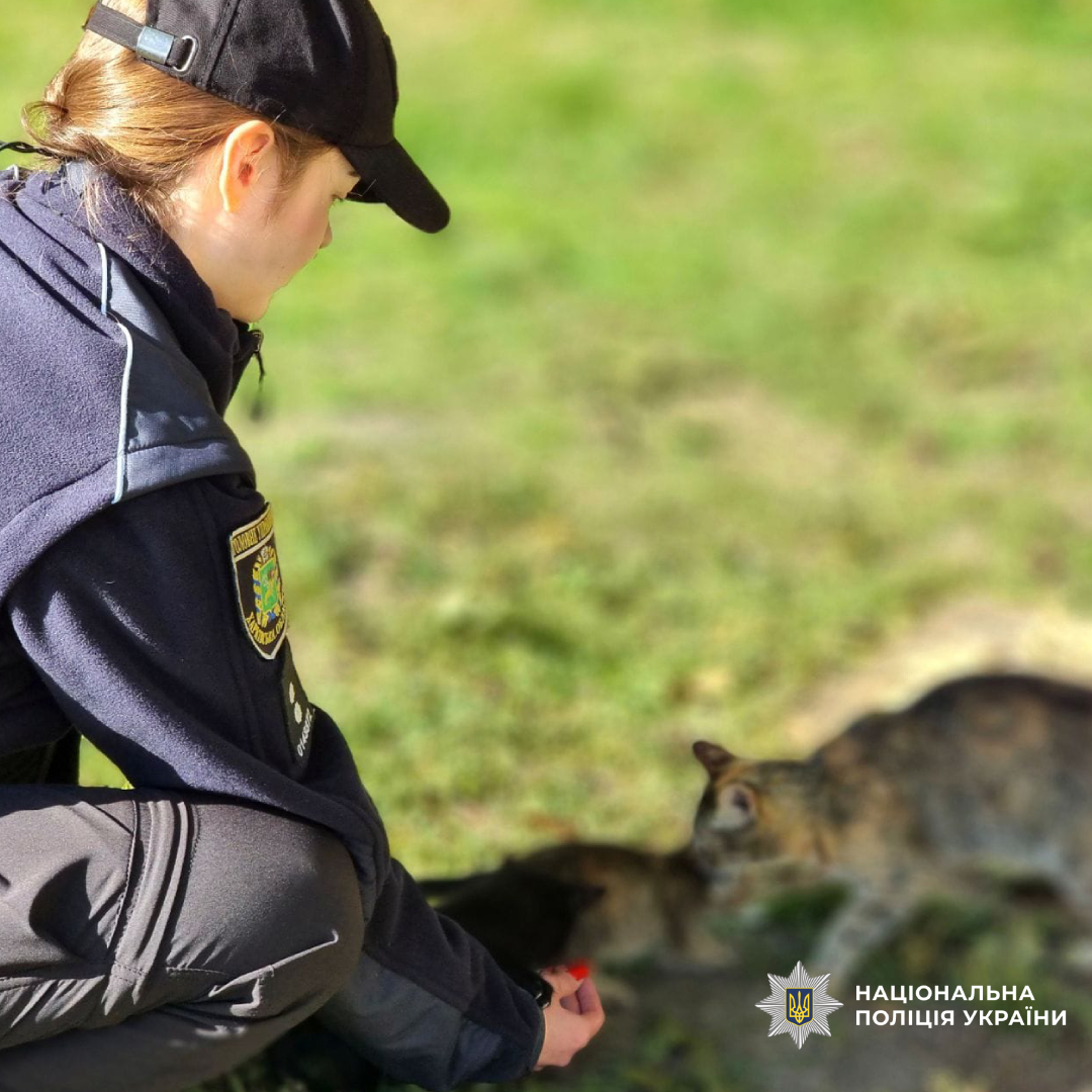 Візьми друга - врятуй життя: поліцейські Чугуївщини допомагають  кошенятам знайти дім