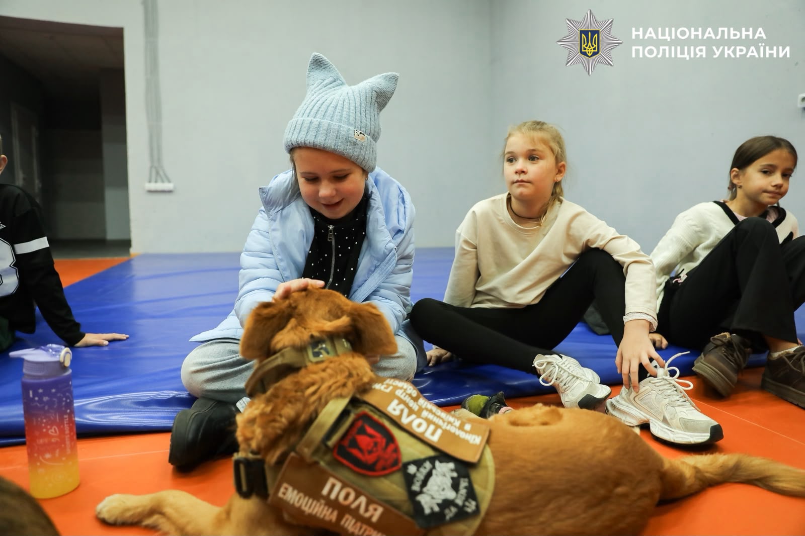 На фото зобрмжені діти