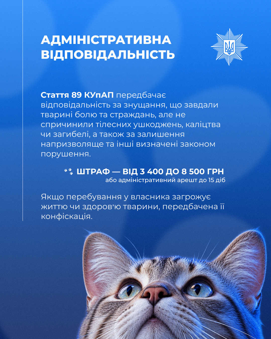 Адміністративна відповідальність