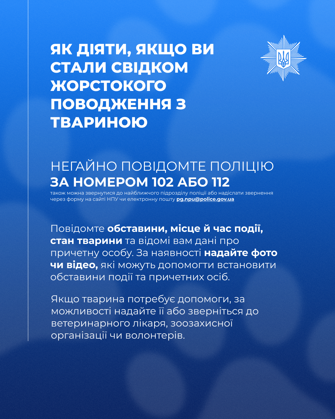 Як діяти, якщо ви стали свідком жорстокого поводження з твариною