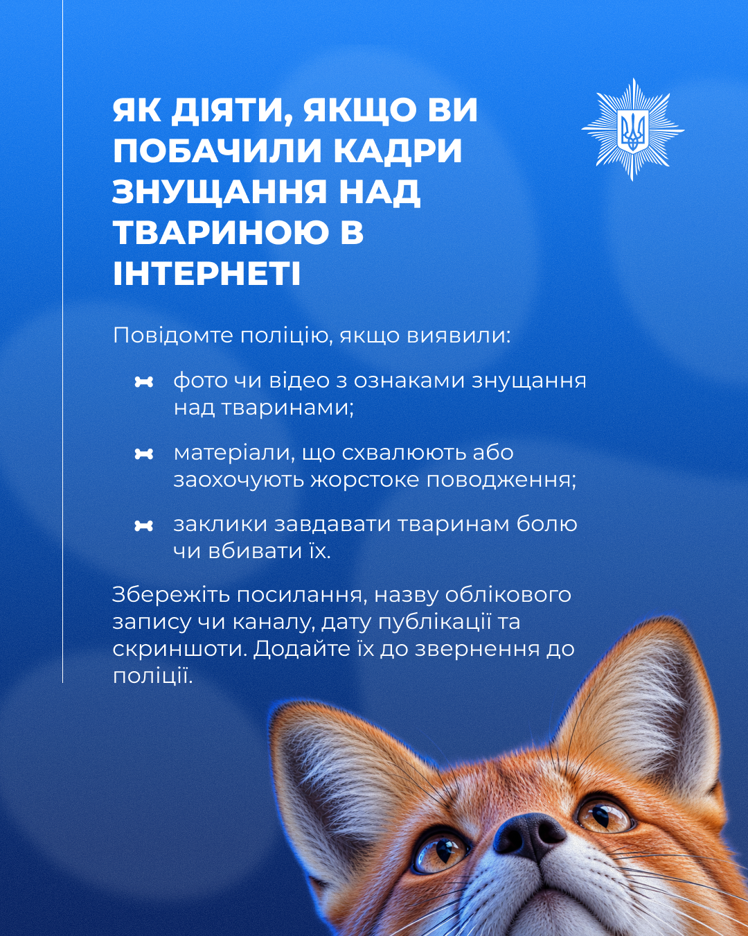 Як діяти, якщо ви побачили кадри знущання над твариною в інтернеті