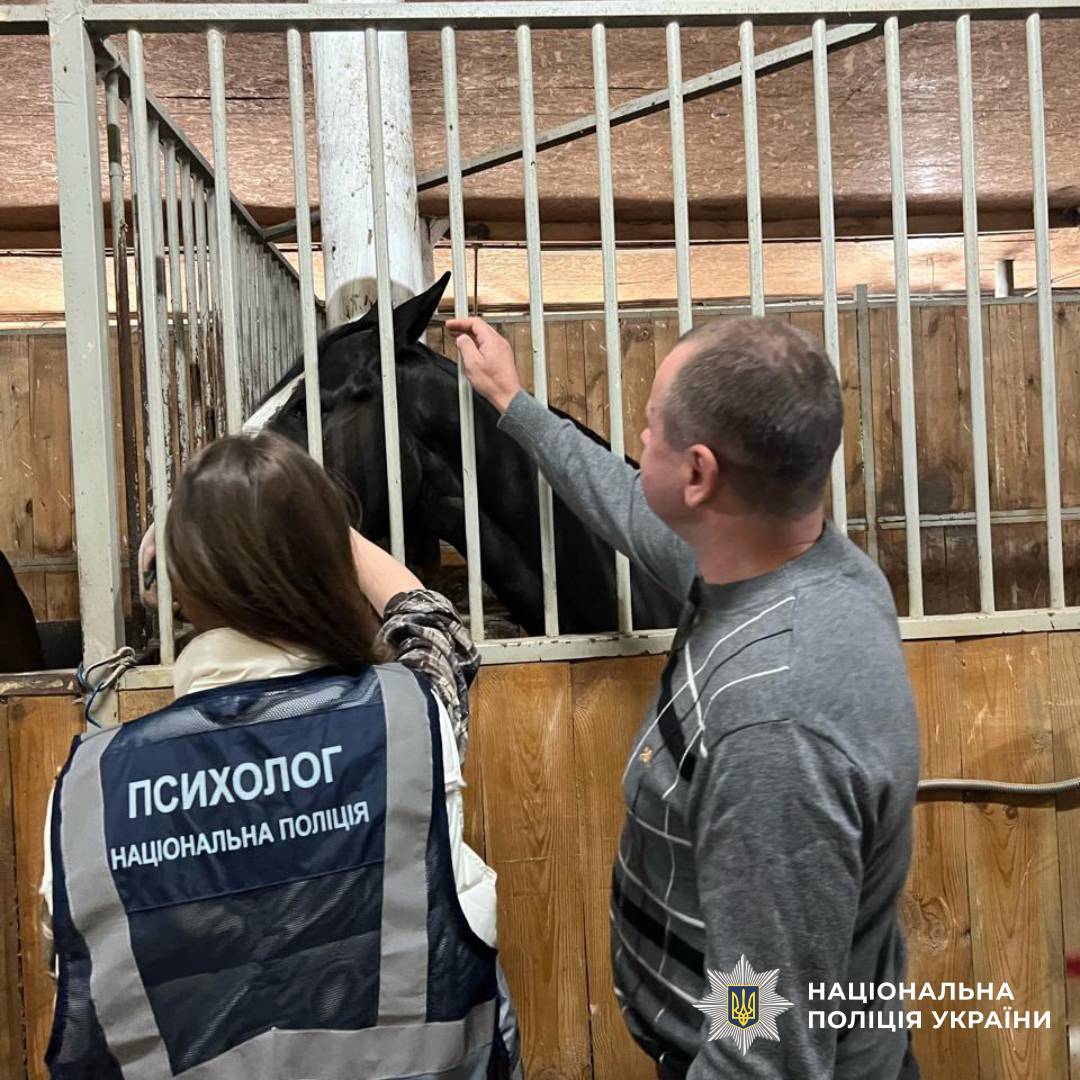Іпотерапія для поранених поліцейських: шлях до психологічного відновлення