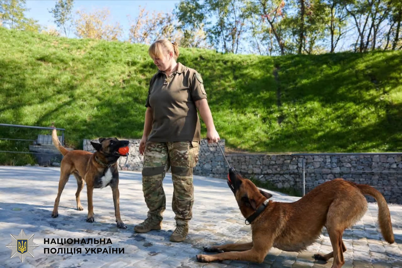 На фото кінолог та службові собаки.