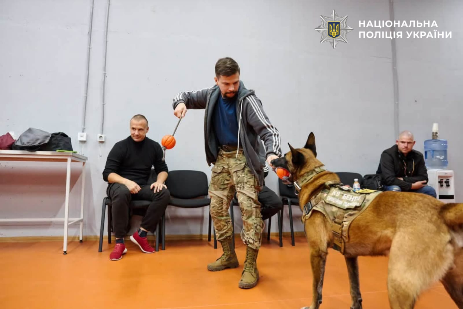 На фото ветерани та службовий пес.