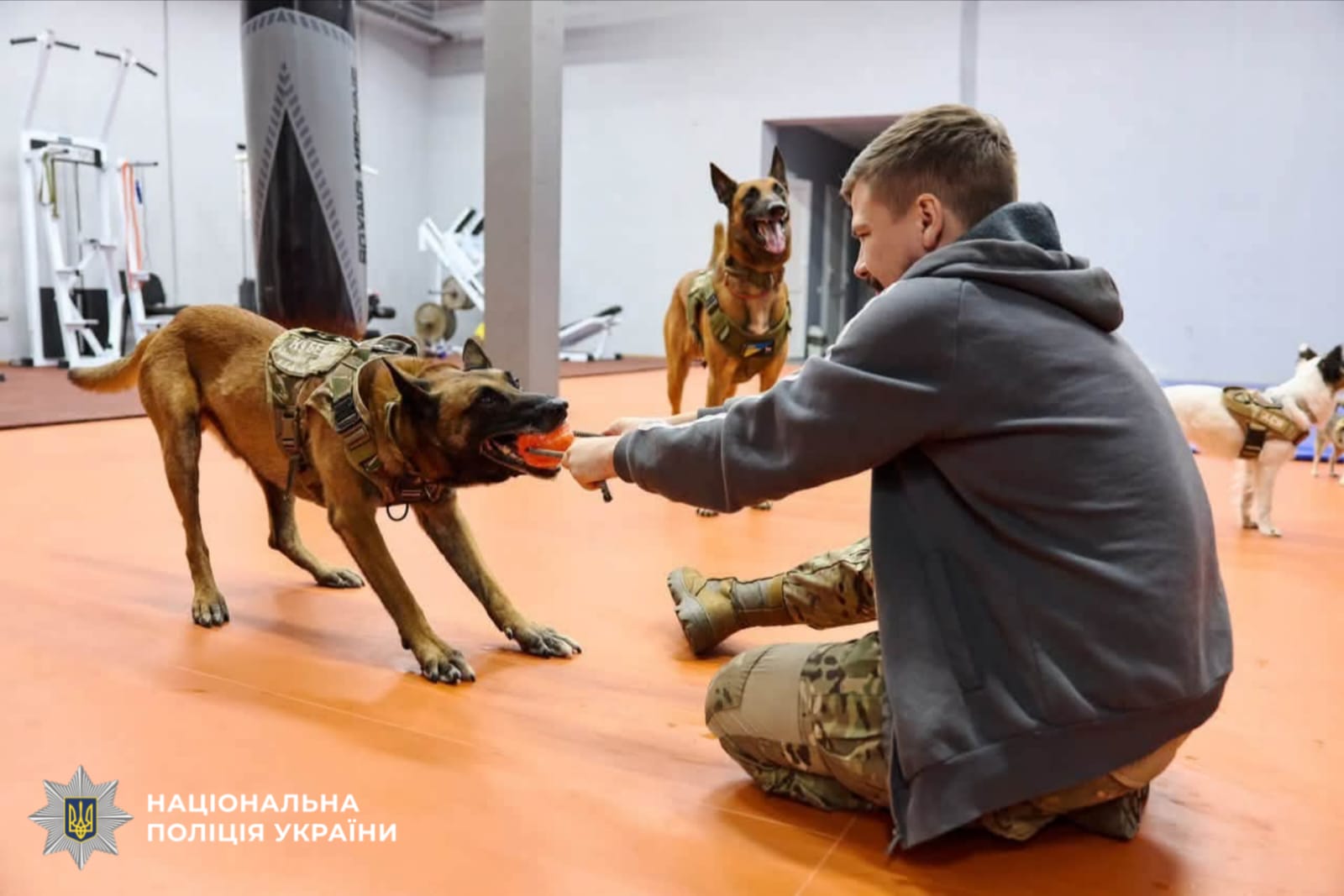 На фото учасники зустрічі.