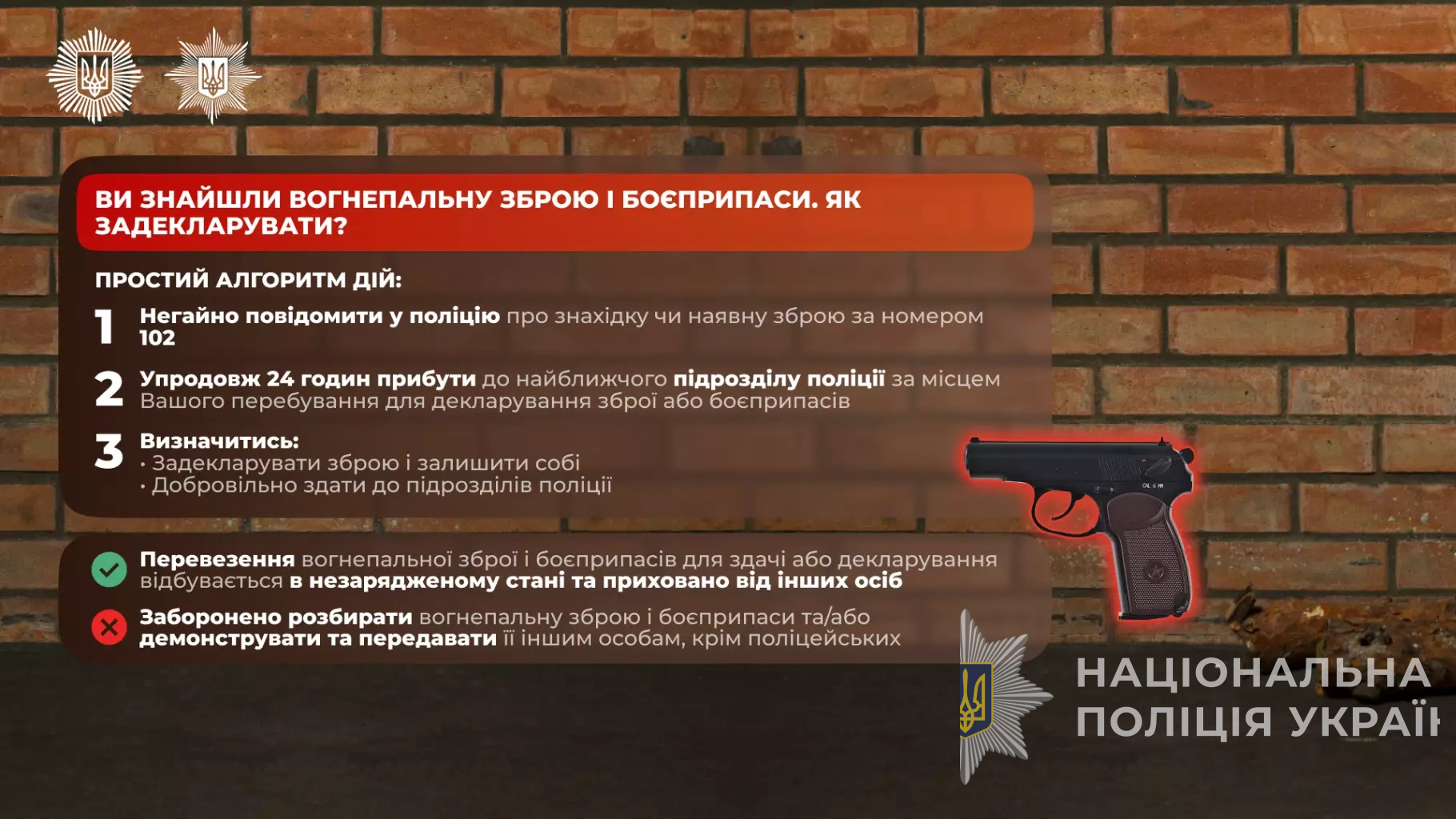 що потрібно знати про декларування зброї