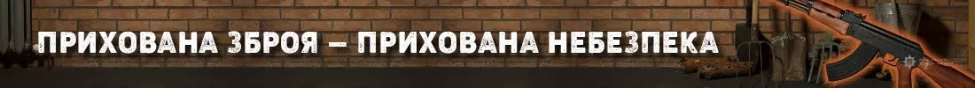 що потрібно знати про декларування зброї