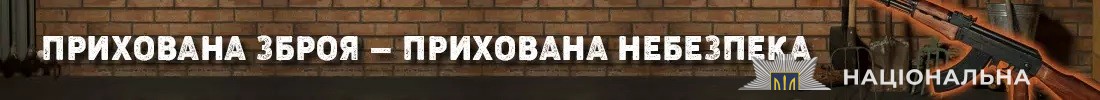 що потрібно знати про декларування зброї