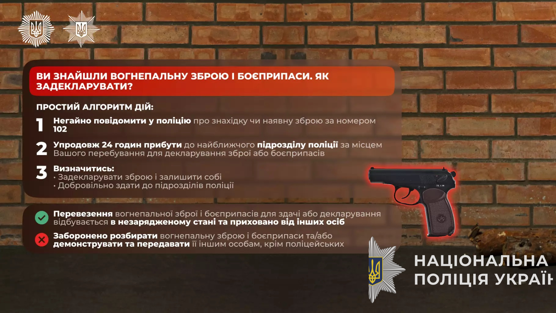 що потрібно знати про декларування зброї