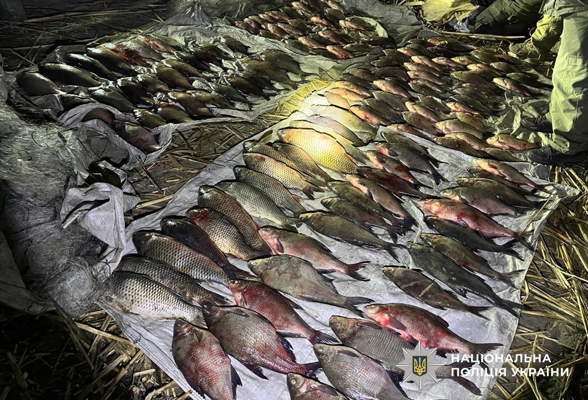 Вилучена риба