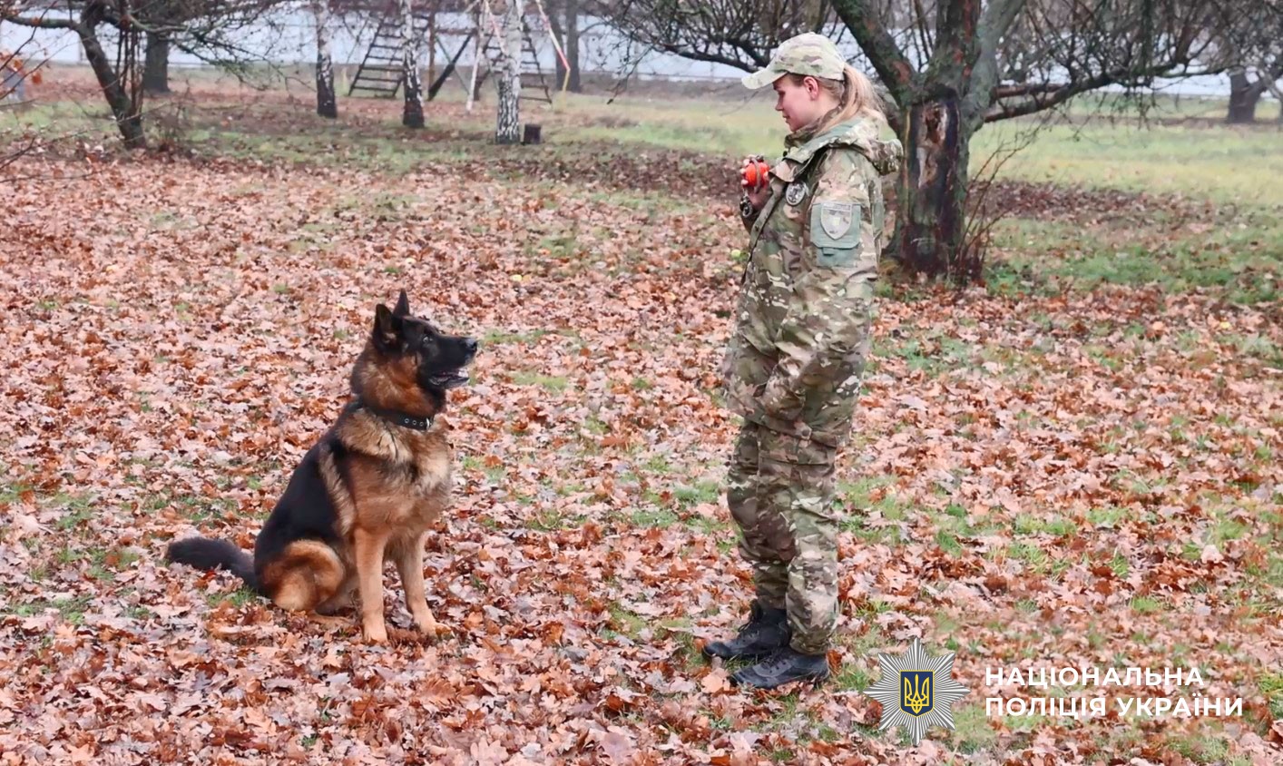 Кінолог Олена Гавриленко та її пес-каністерапевт Дон
