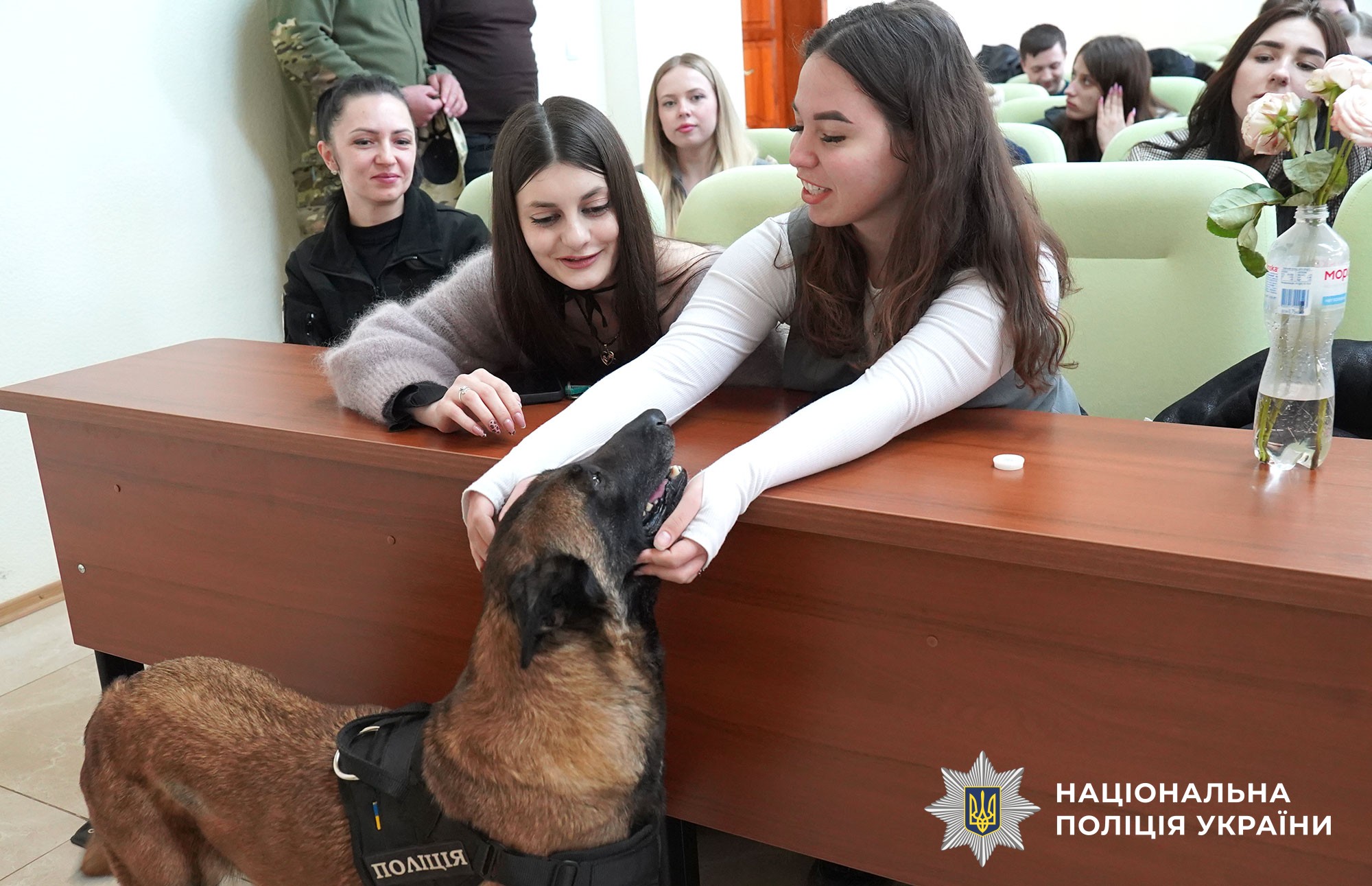 студенти гладять Еліс