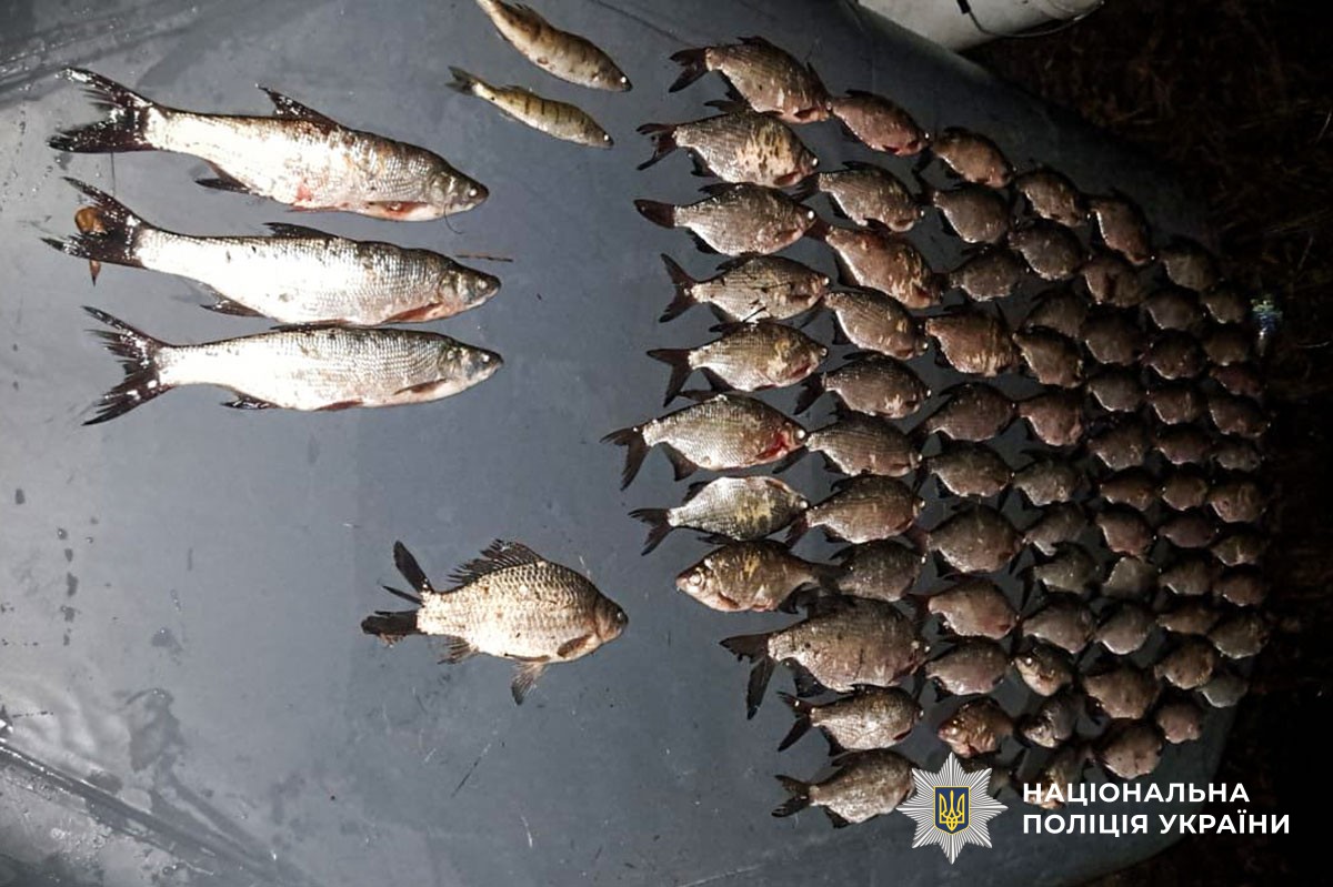 Поліцейські Горішніх Плавнів  задокументували факт незаконного рибного промислу місцевим мешканцем