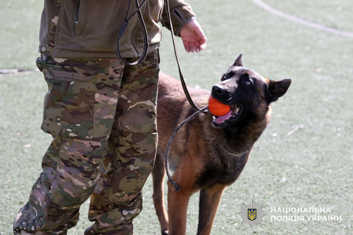 кінолог із собакою