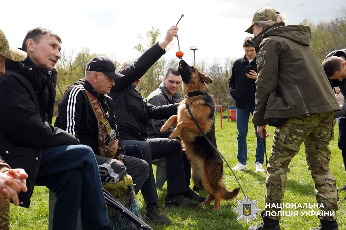 Захисники спілкуються із собаками 