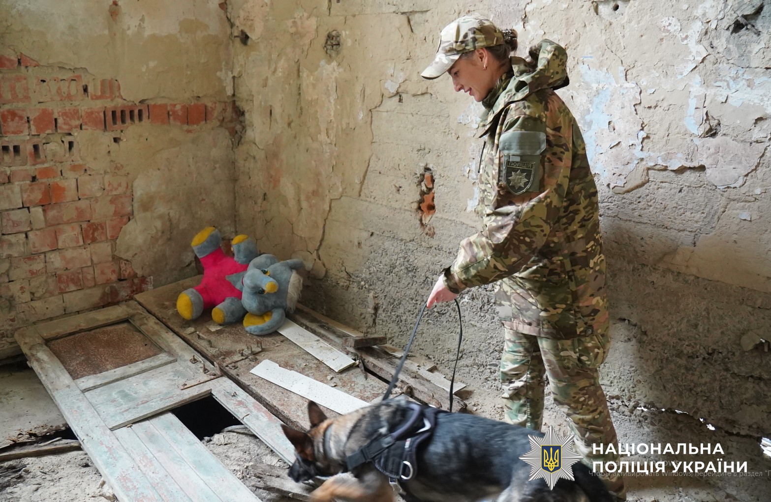 кінолог поліції шукає людину в завалах