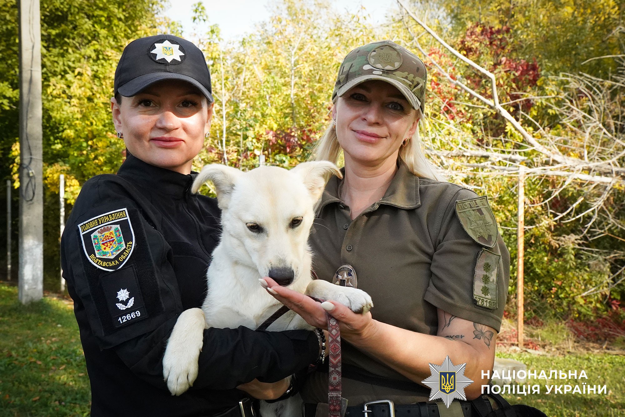 кінолог та психолог поліції із цуценям Мішель під час каністерапії