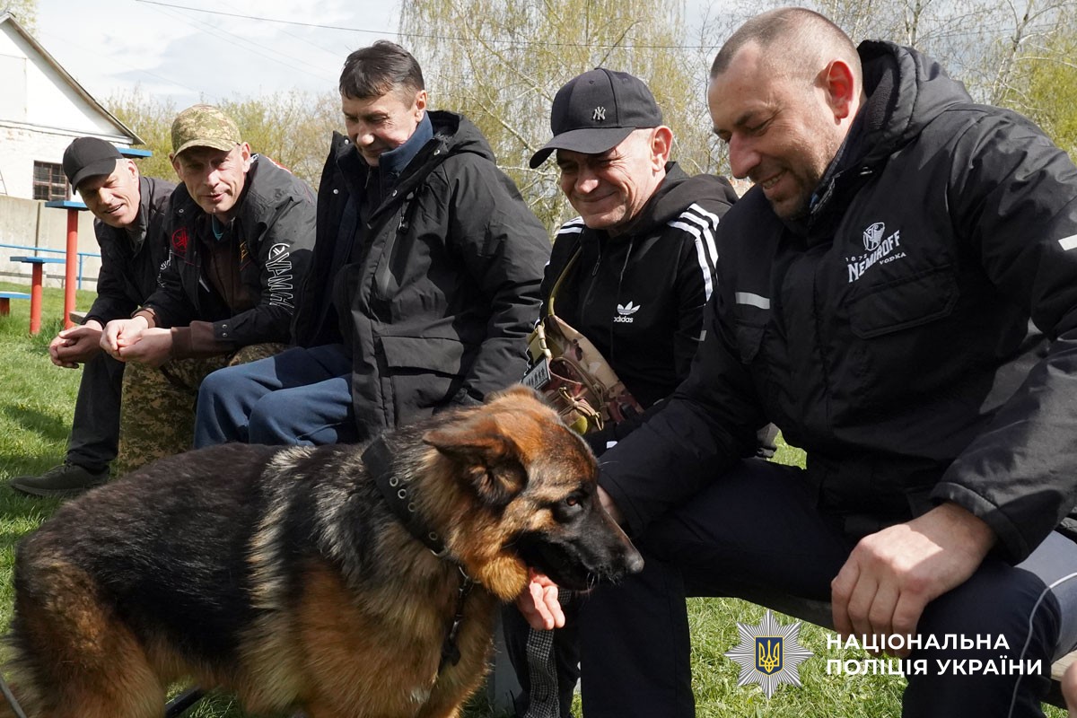Захисники спілкуються із собаками