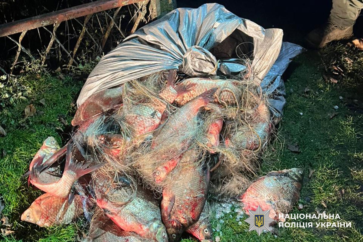 Вилучена риба