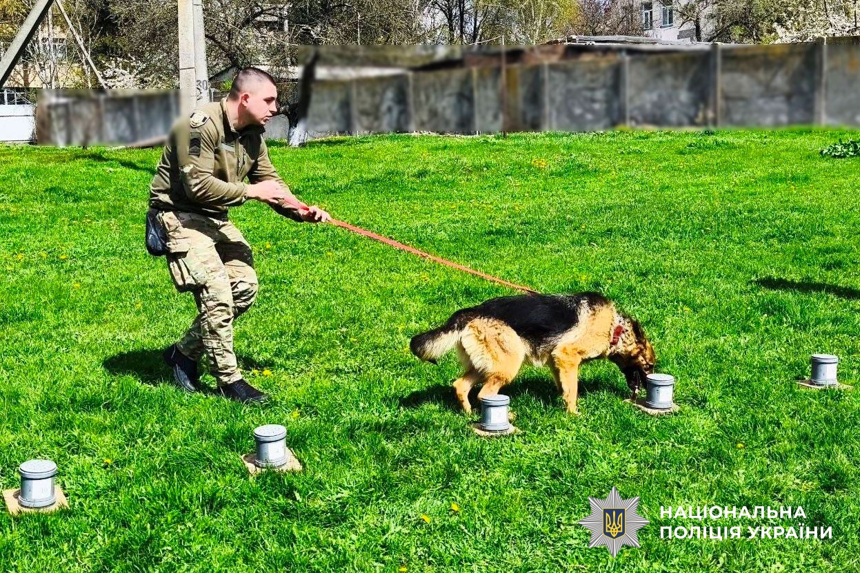 Діти дивляться на виступ службових собак