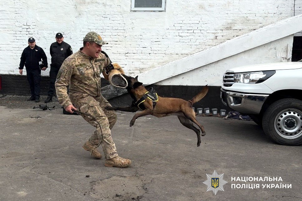 кінолог та Еліс