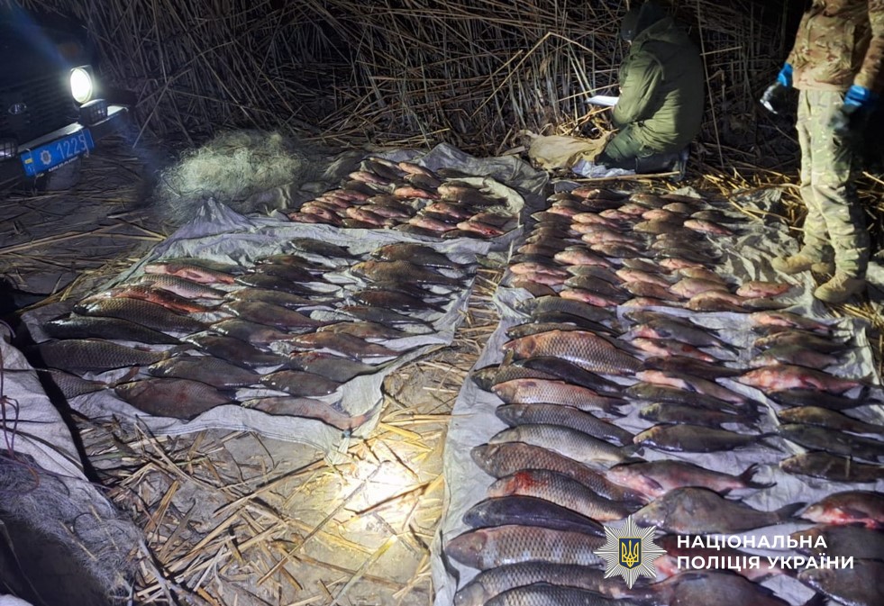 Вилучена риба