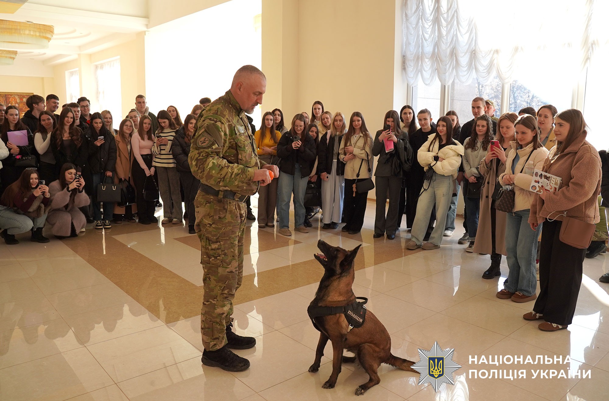 кінологи презентують свою роботу