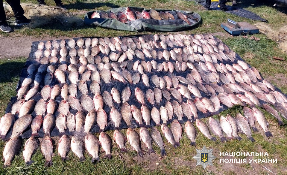 водні поліцейські