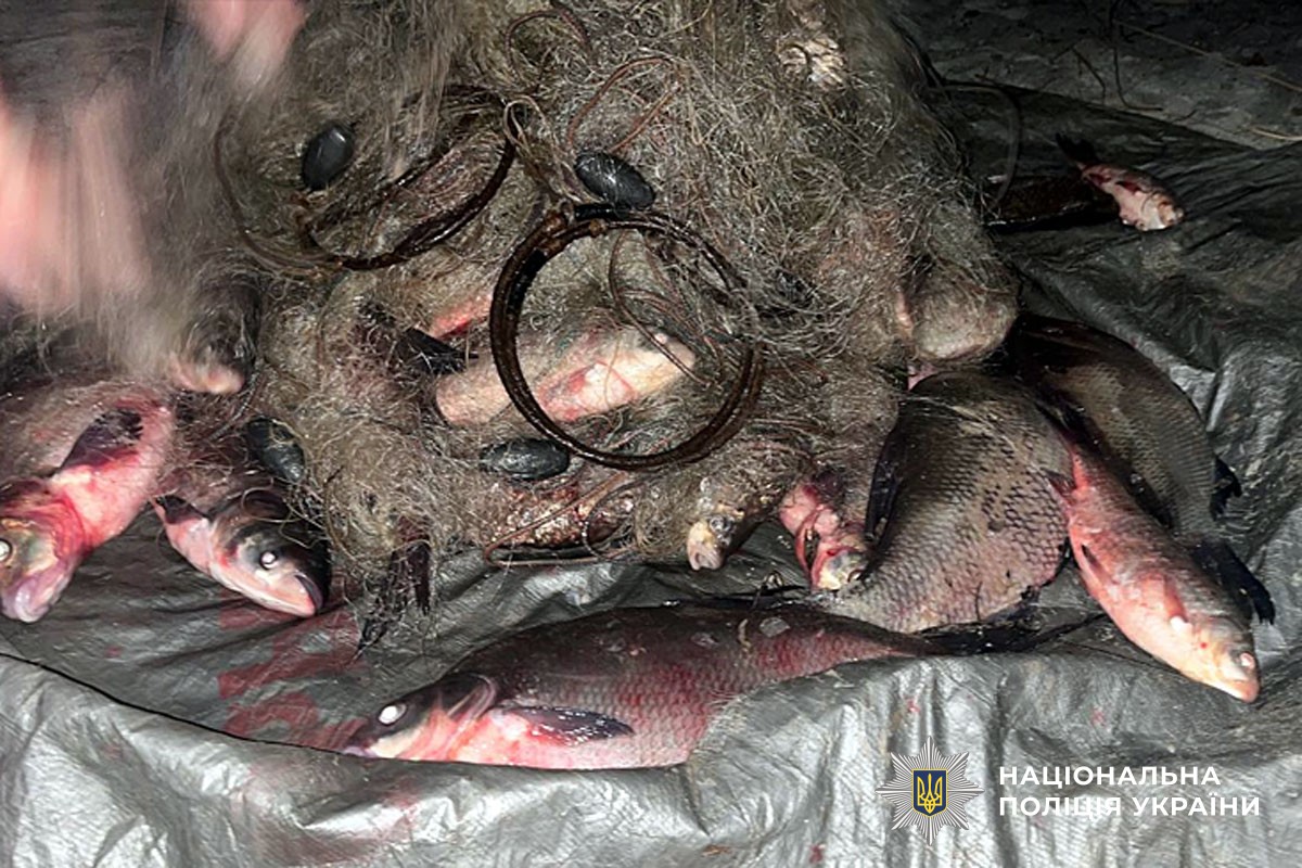 Вилучені сітки