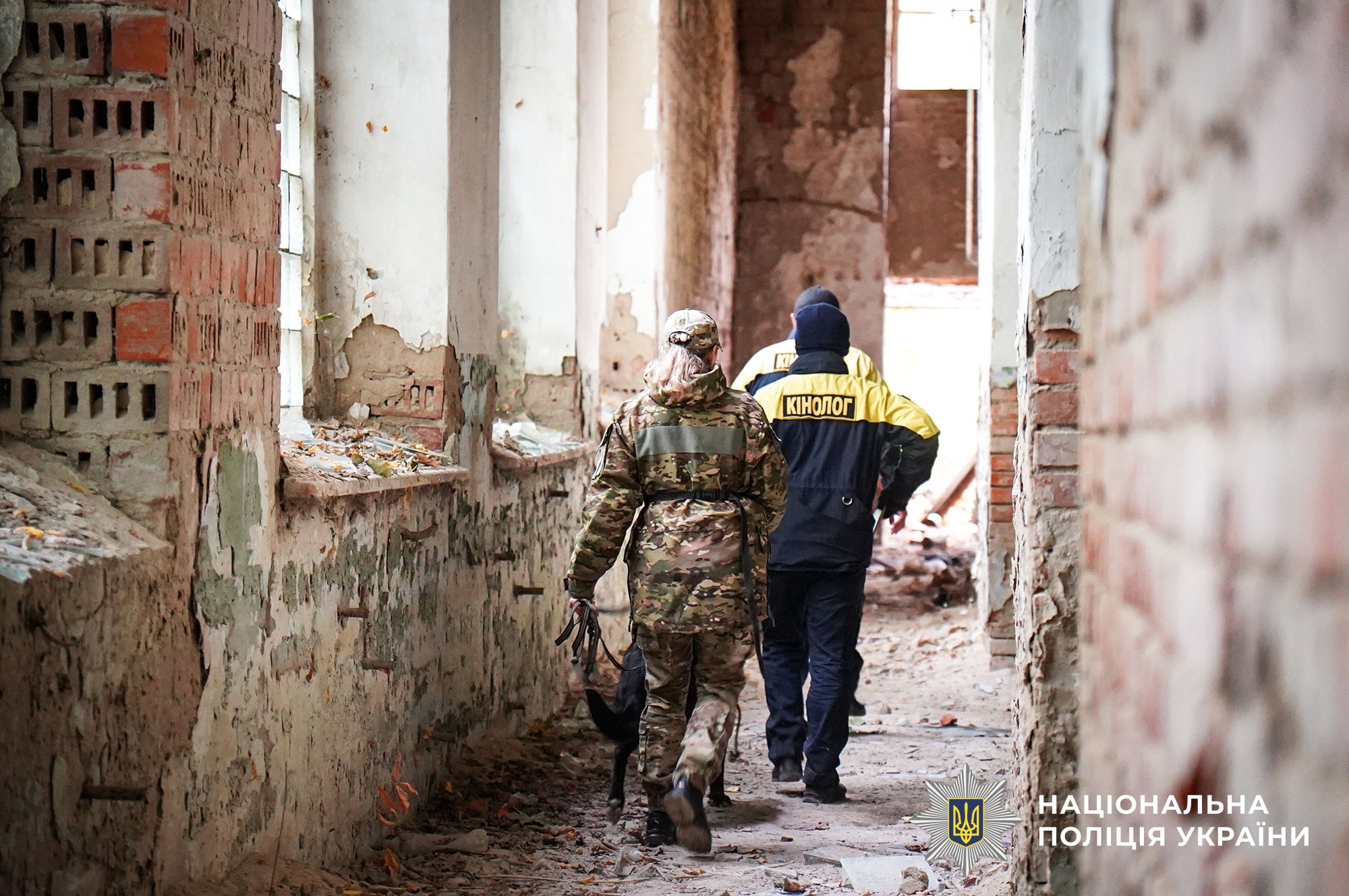 кінолог поліції шукає людину в завалах