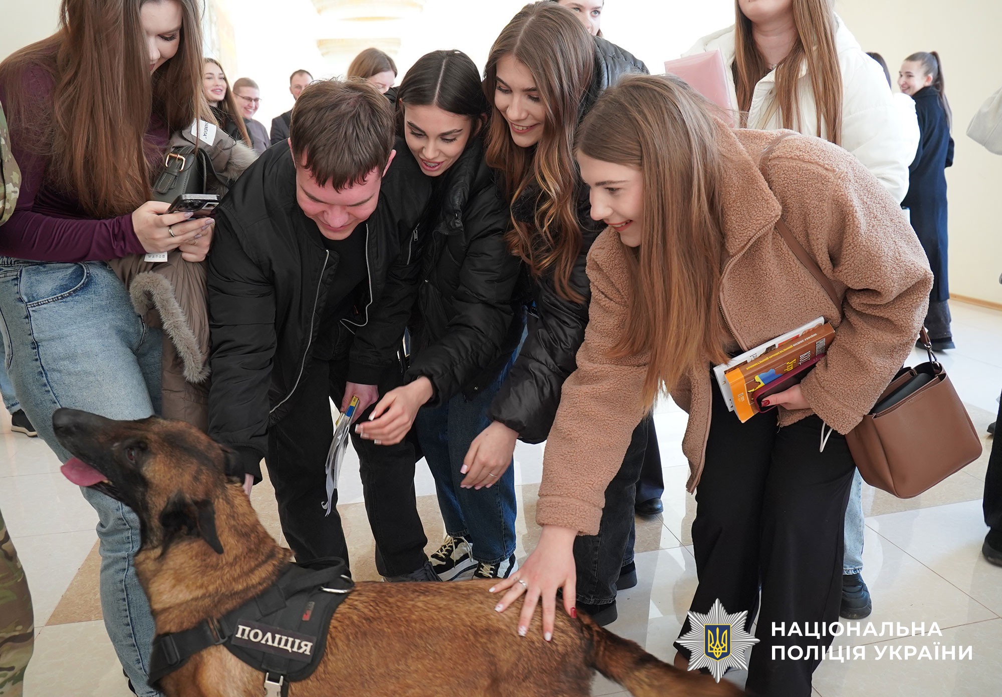 студенти гладять собачку Еліс