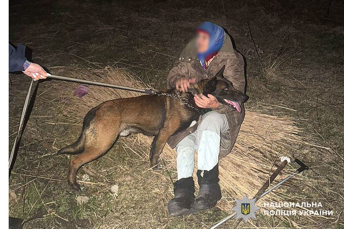 Собака знайшов бабусю