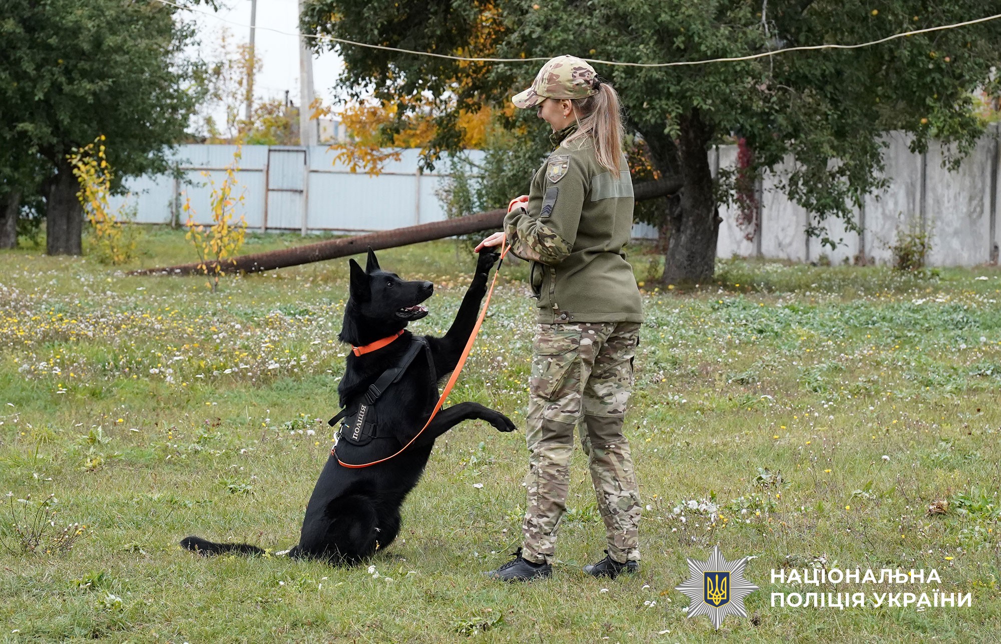 Каністерапія для поліцейських-захисників та їхніх родин
