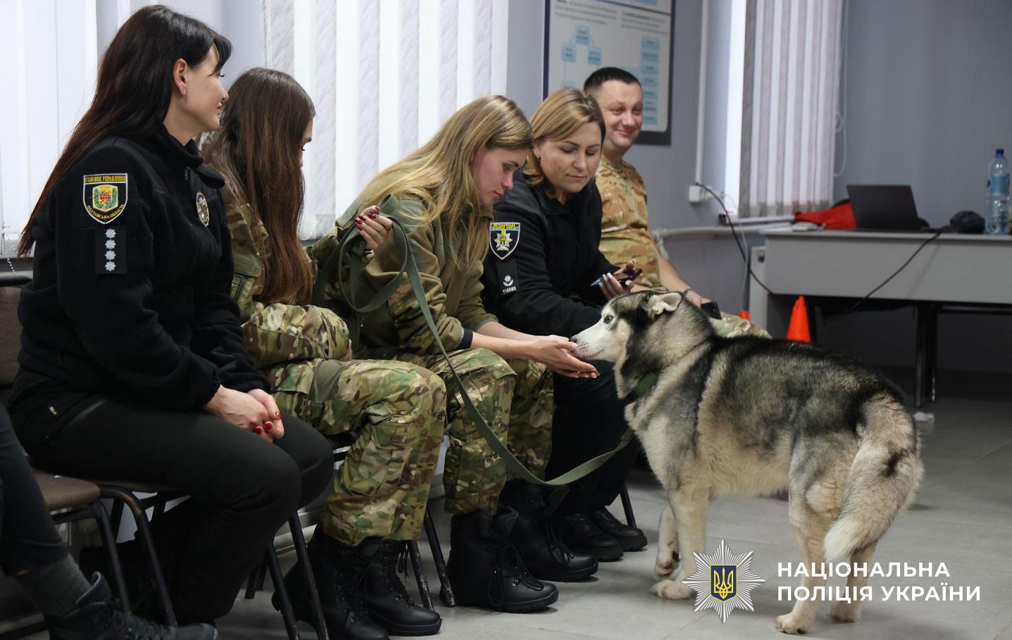 поліцейські вчаться методиці каністерапії