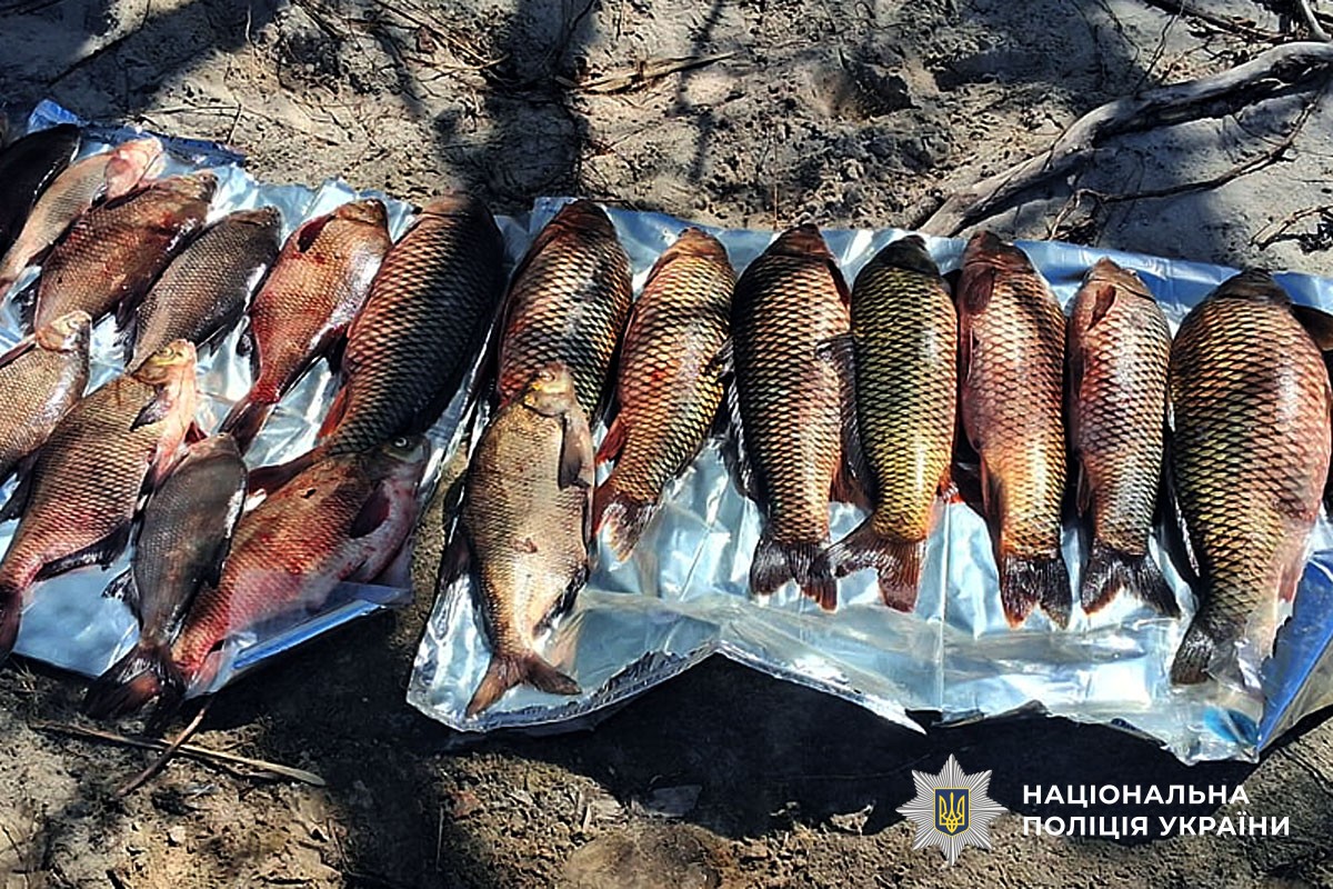 вилучена риба