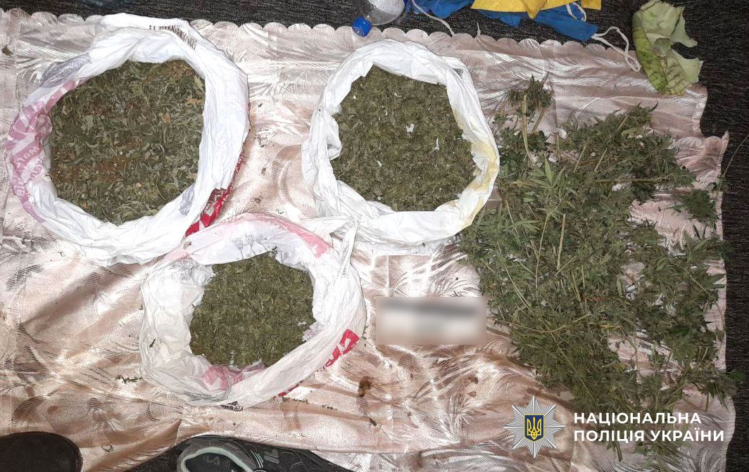 Вилучені наркотики