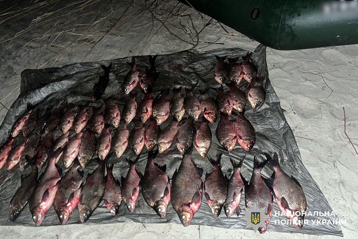 Вилучена риба