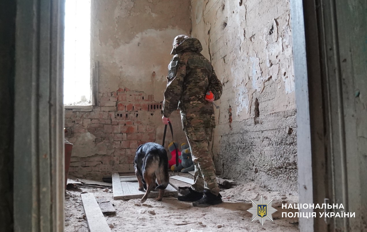 кінолог поліції шукає людину в завалах