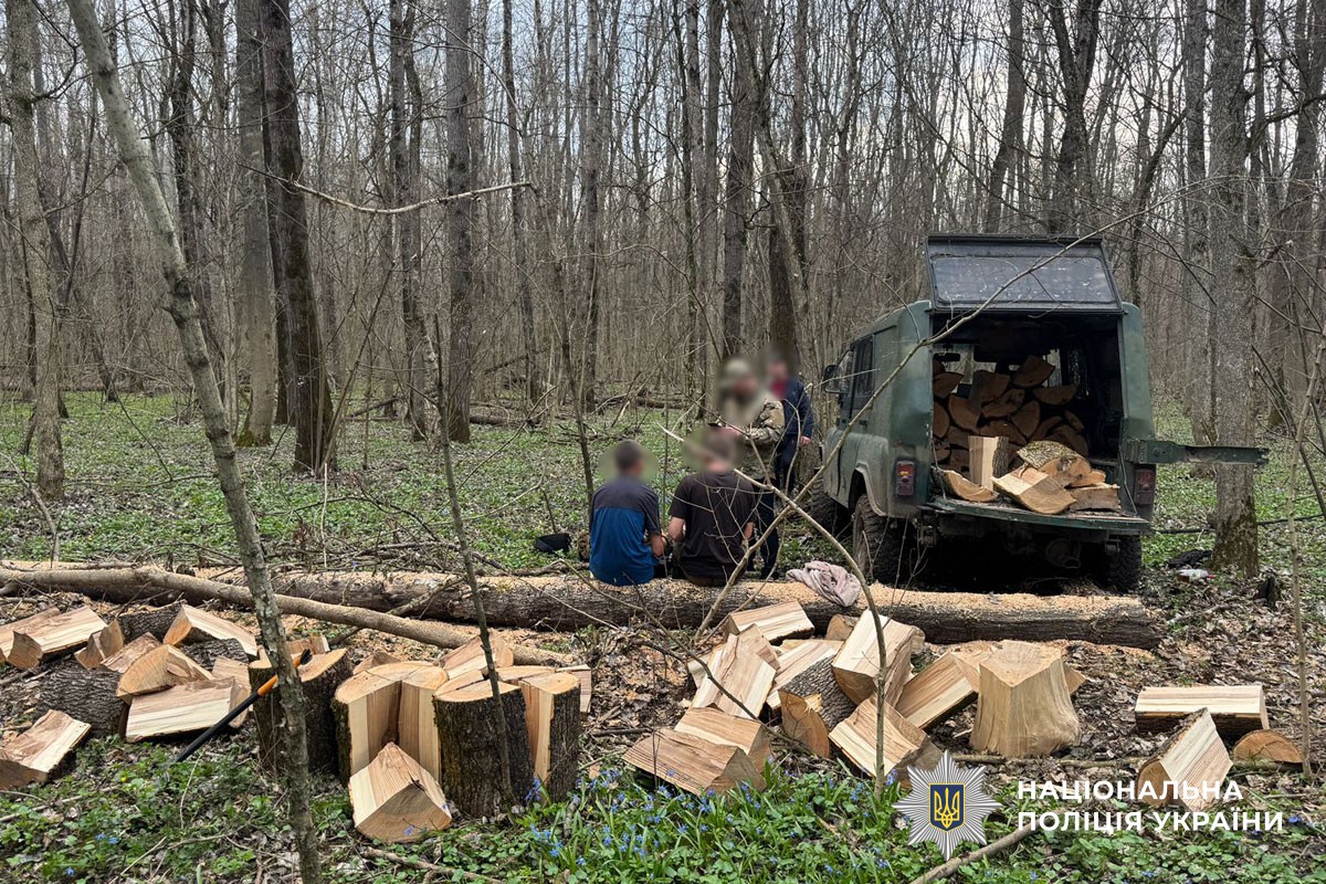 вилучені дрова